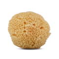 AEGIAN NATURAL SEA BABY SPONGE